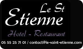 Logo le Saint Etienne